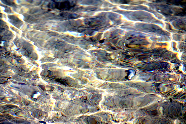 Water Jewels by Toon De Zwart Water Jewels by Toon De Zwart